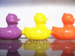 shawn-william-byrd-ducks-small Shawn William Byrd ducks small a picture of three plastic ducks